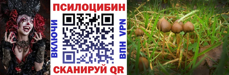 Галлюциногенные грибы мицелий  Оха 