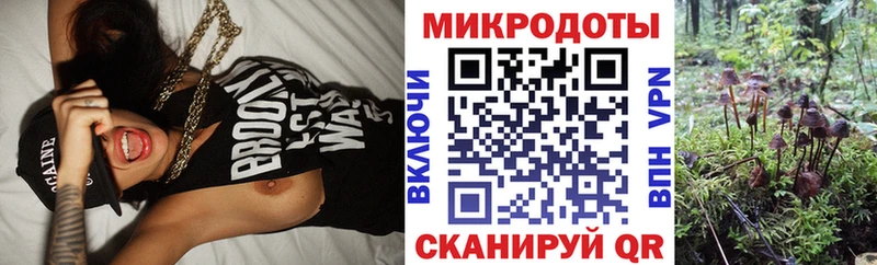 Галлюциногенные грибы мухоморы Оха